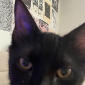 Meet your Posher, Arianna